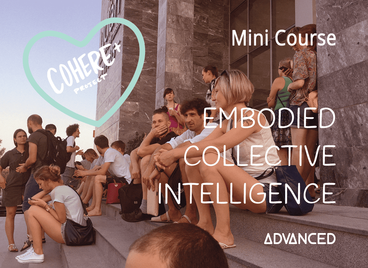 Embodied Collective Intelligence