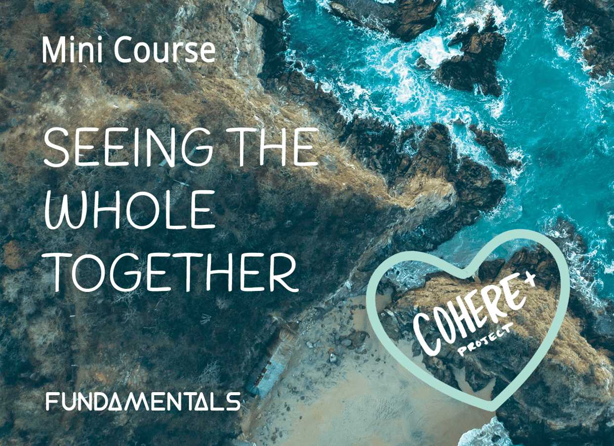 Seeing the Whole Together