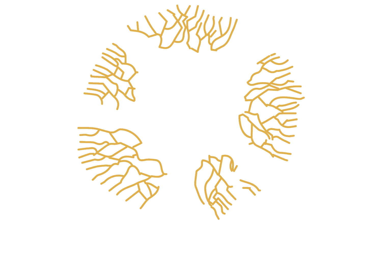 Bio-Leadership Project