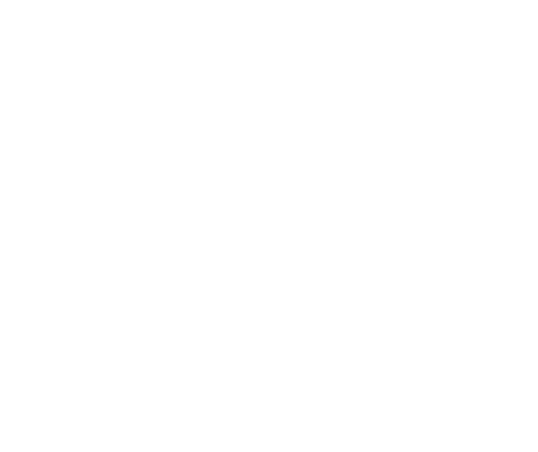 Purpose Flow