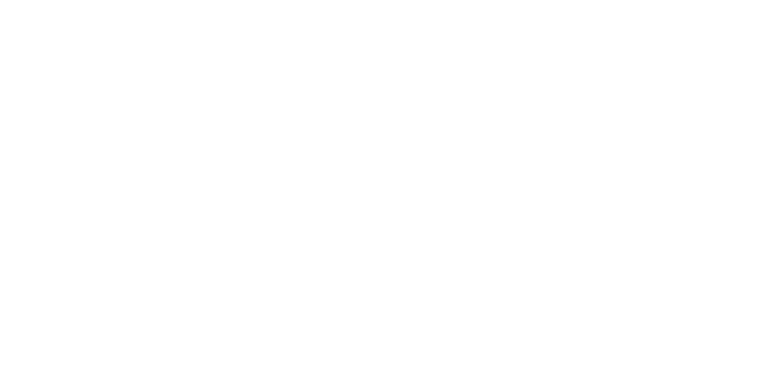 Beautiful Trouble
