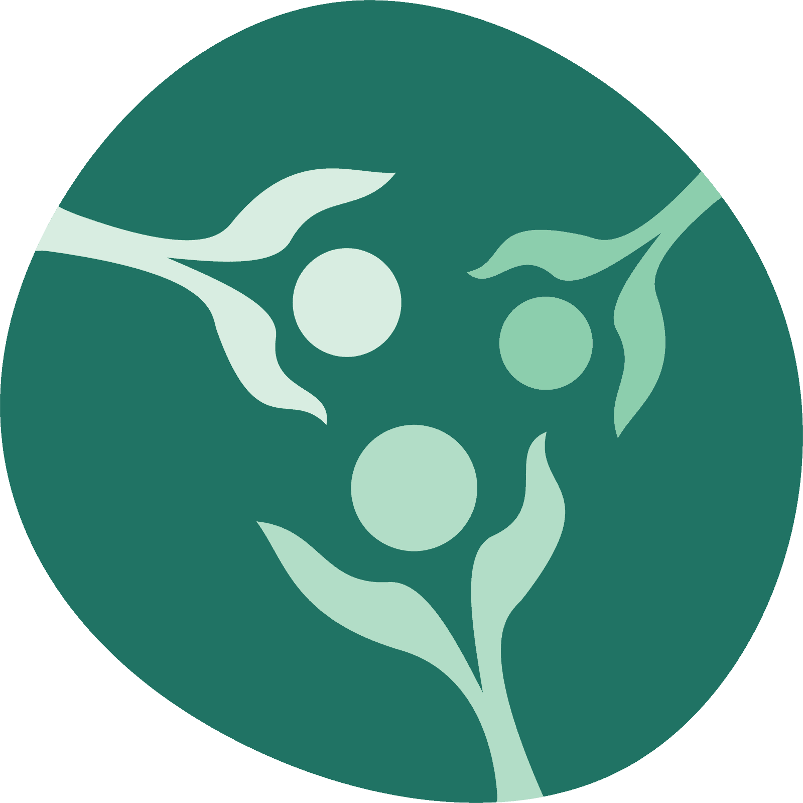 Healthy Food Healthy Planet