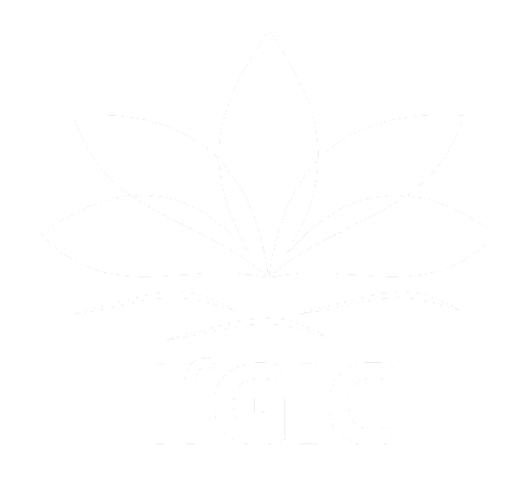 Institute for Global Integral Competence Institute for Global Integral Competence